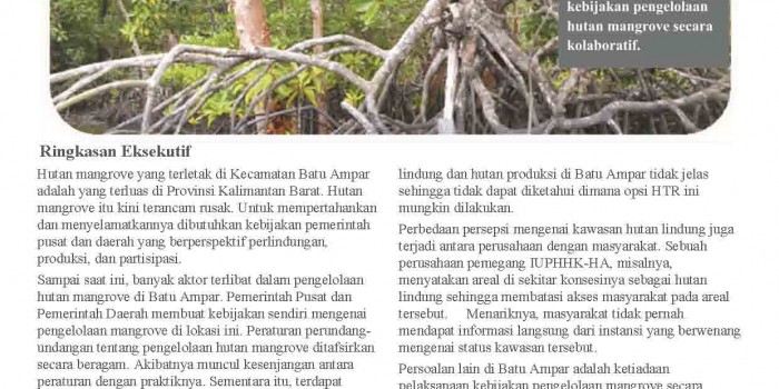 Policy Brief: Hutan Mangrove Batu Ampar, Keniscayaan Pengelolaan Kolaboratif