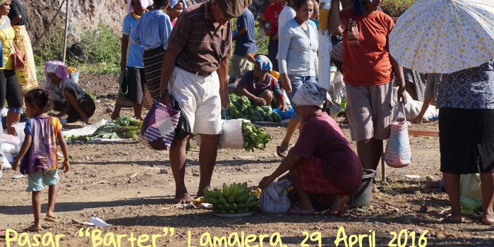 Catatan Perjalanan: Ritual Pledang Baru, Pasar Barter dan Beleo di Lamalera #1