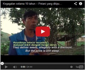 youtube video petani dan jagung transgenik