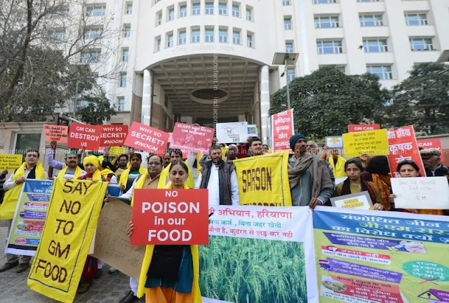 Ilusi GMO: Tiga dekade hype, bahaya, dan harapan palsu