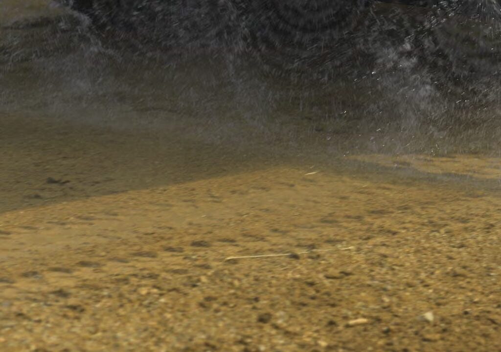 Jurnal sains menarik kembali studi tentang keamanan Monsanto Roundup: ‘Masalah etika yang serius’