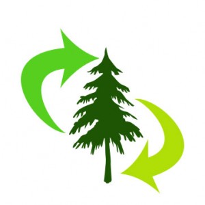 Berita Bumi Indonesia Logo