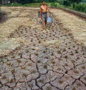 Perubahan Iklim dan Petani