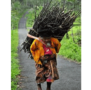 hak-kepemilikan-hutan-dan-kehutanan-sosial