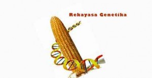 isu rekayasa genetika undang undang