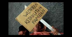 petani kecil ketahanan pangan lingkungan